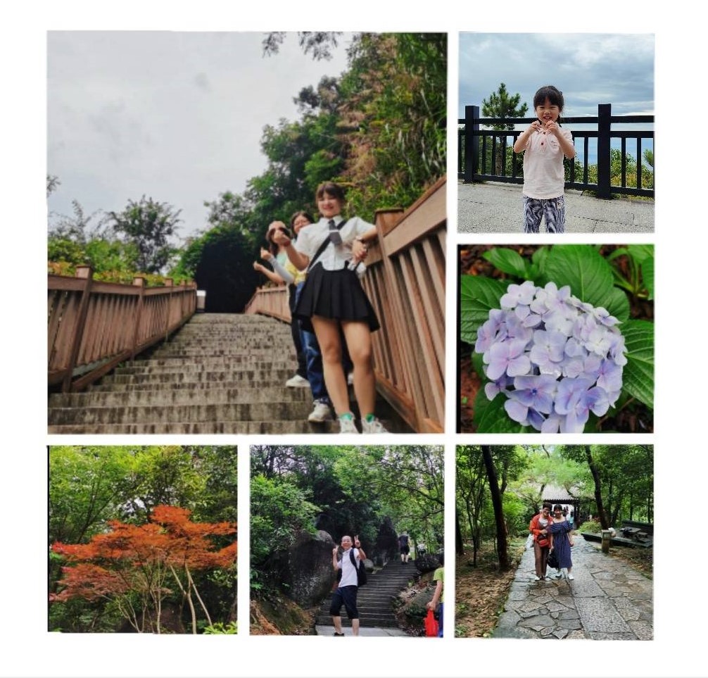 ����֮��hy590(�й�)���¹ٷ���վ