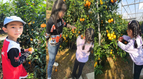 ����֮��hy590(�й�)���¹ٷ���վ